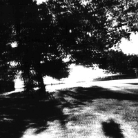 Cross-section of a Dangerous Time